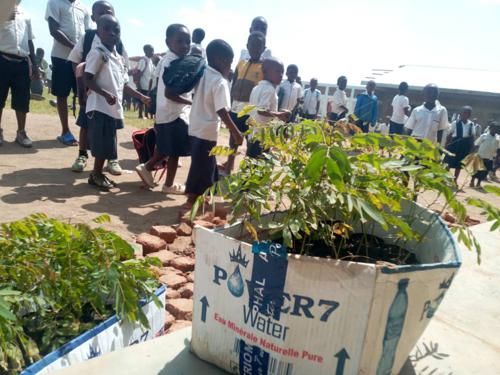 Mille hectares d’arbres plantés au Nord-Kivu par l’ICCN.