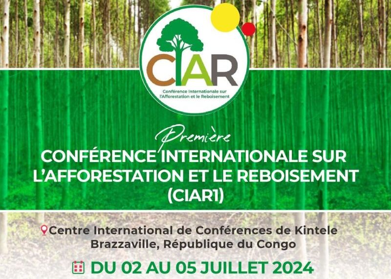 Conférence Internationale d’afforestation et de reboisement à Brazzaville : une initiative pour la…