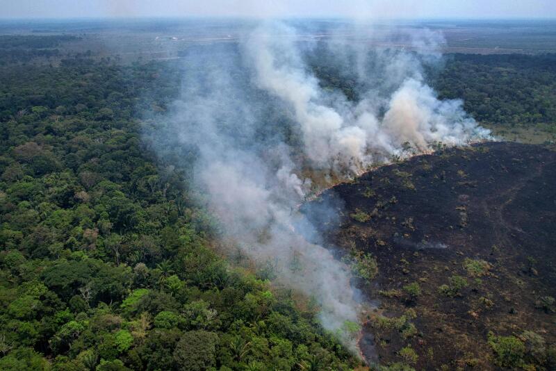 L’Amazonie en flammes : un semestre record de feux de forêt.