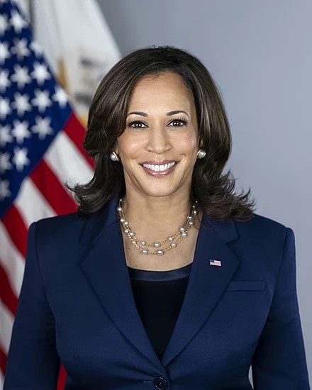 Presidentielle americaine 2024: Kamala Harris, une position de force dans le camp démocrate.