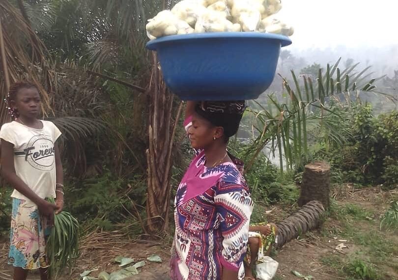 Évolution des Cultures à la Ferme Pilote de Mangai : un modèle de…