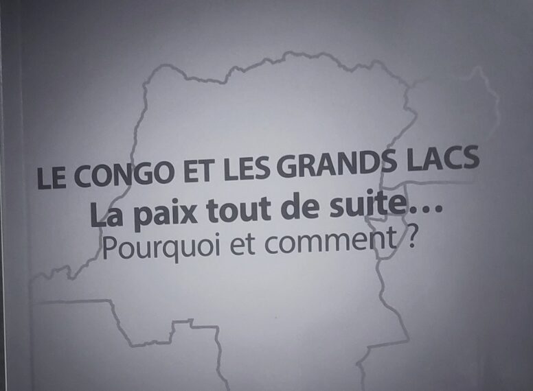 La guerre, la paix et les leçons de la démoustication : Didier Mumengi présente des hypothèses…